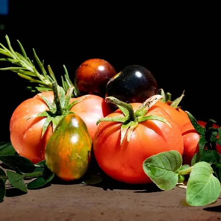 לינה וארוחת בוקר El Limonar