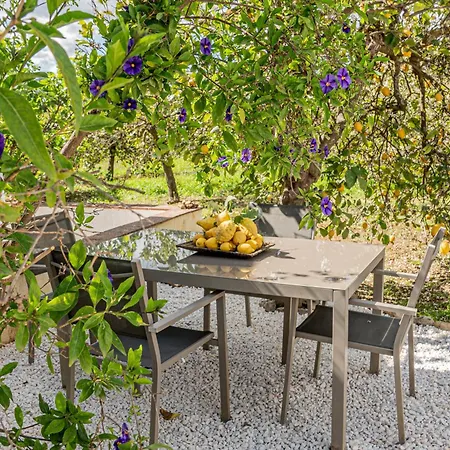 Bed & Breakfast El Limonar 4*