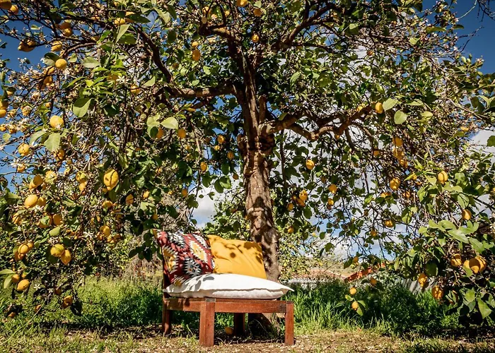 Bed & Breakfast El Limonar