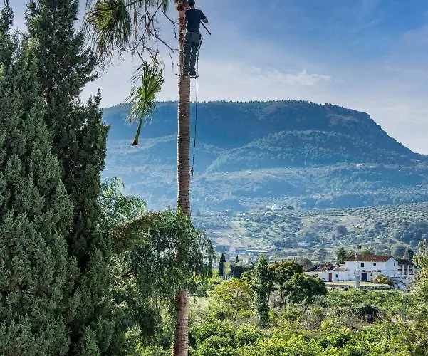 El Limonar Bed & Breakfast 4*