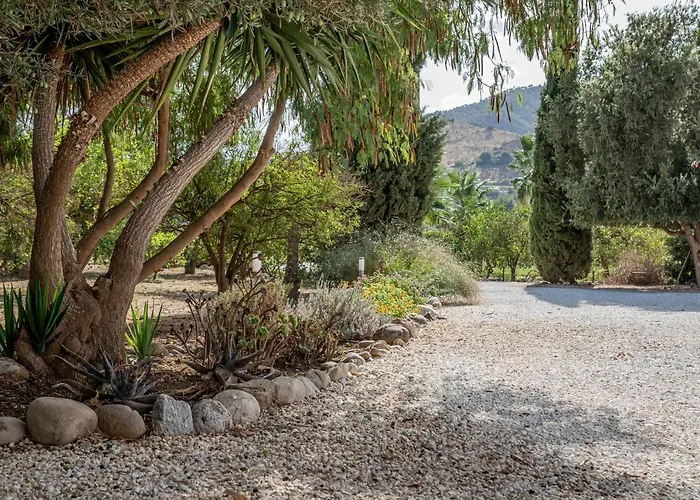Bed & Breakfast El Limonar