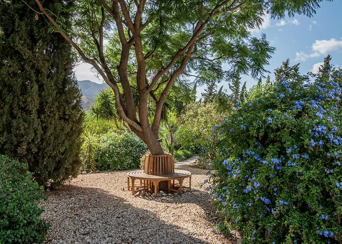 Bed & Breakfast El Limonar Alora