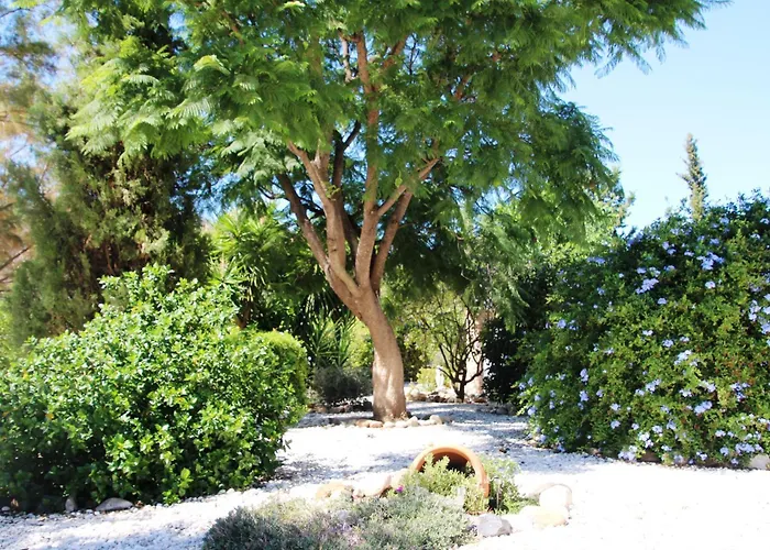 El Limonar